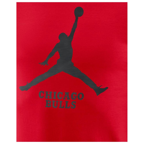 Jordan Ανδρική κοντομάνικη μπλούζα Chicago Bulls NBA